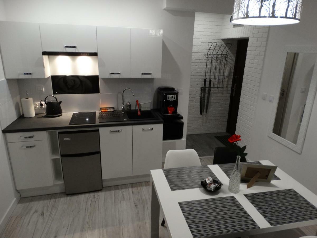 Apartament "Eli" Stary Toruń Εξωτερικό φωτογραφία